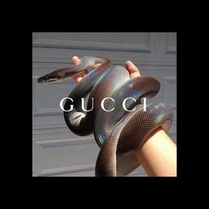 Meet your Posher, Nelson